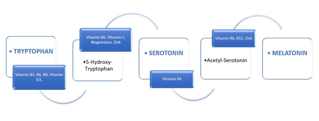 Schlafhormon Melatonin Bildung